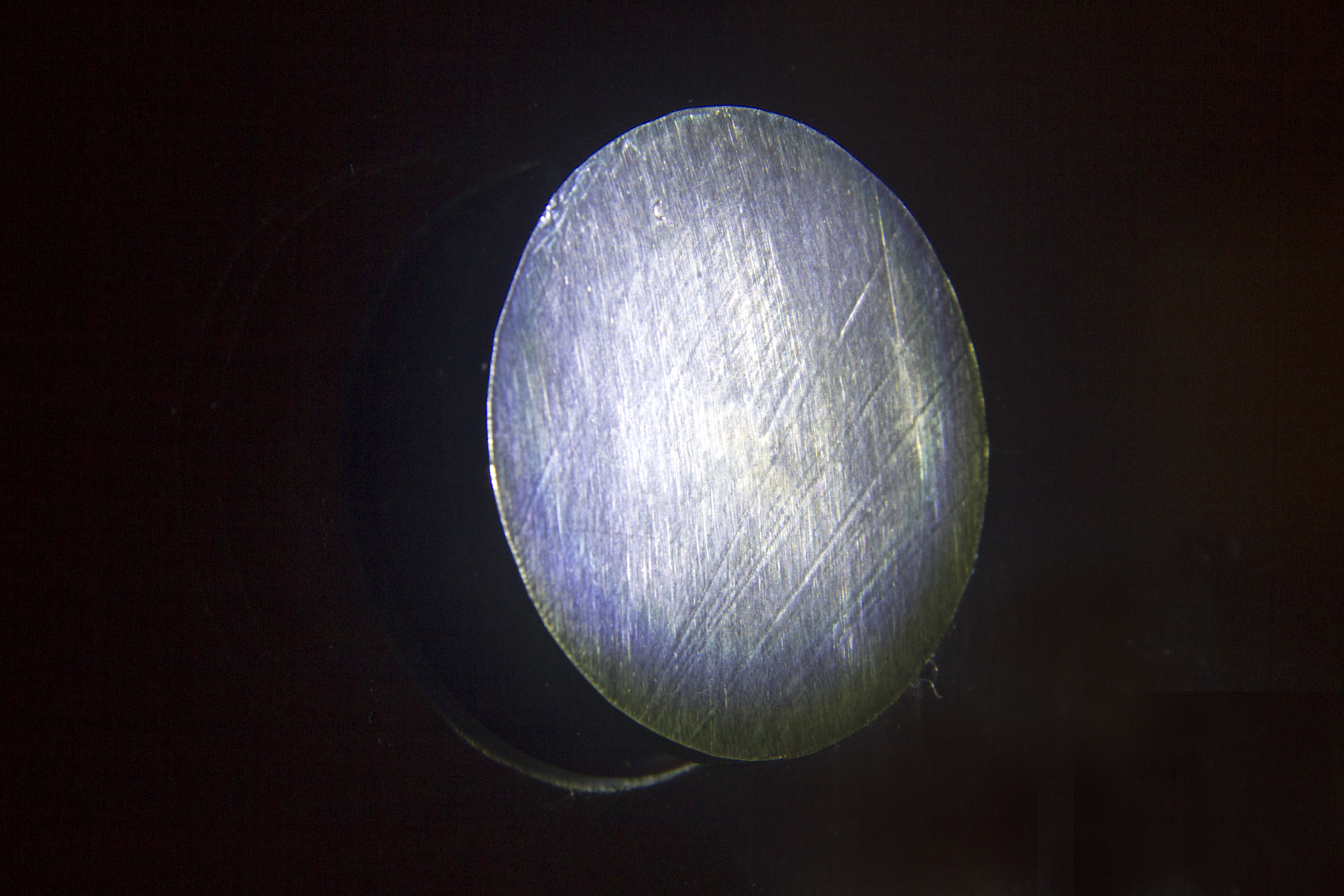 Judith Roeder. RESPONSIVE Halifax 2017. Photo Frankie Macaulay (8)